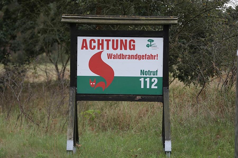 Krings: Union prüft höhere Mindeststrafen bei Brandstiftun