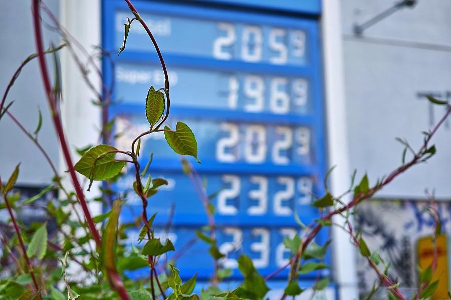 Grünen-Fraktionsvize gegen neuen Tankrabatt