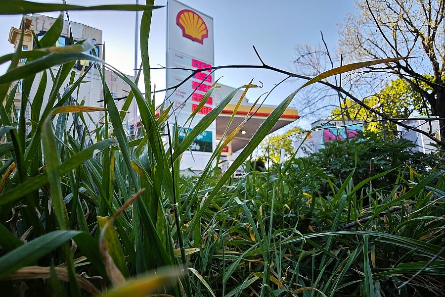 Unions-Fraktionschef Frei: Mehrwertsteuer auf Sprit von 19 auf 7 Prozent senken