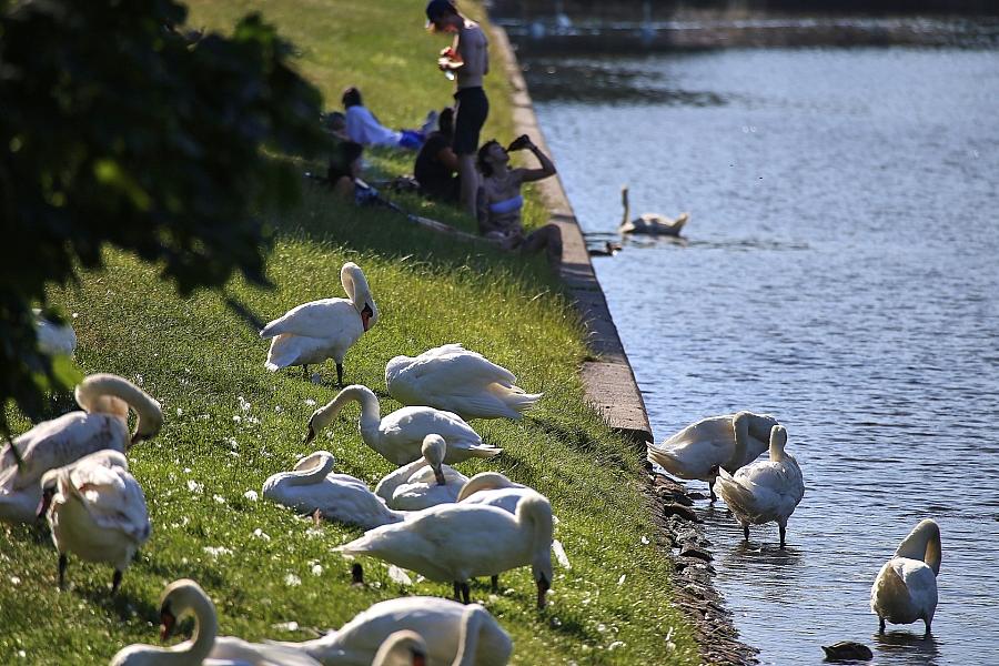 DWD: September in Deutschland zu warm, zu trocken und sehr sonnig