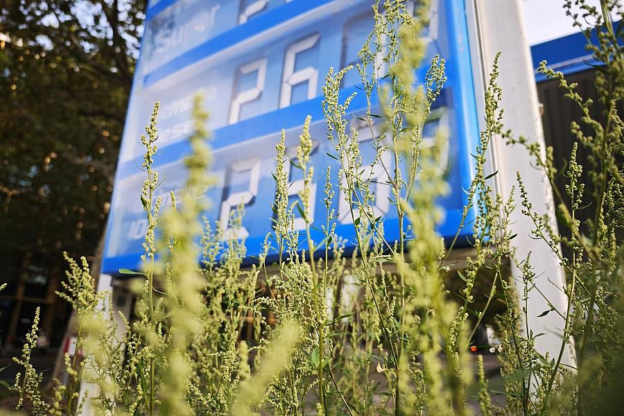 Schwesig und Rehlinger drängen Bundesregierung auf schnellen Regelungsentwurf für Spritpreisdeckel