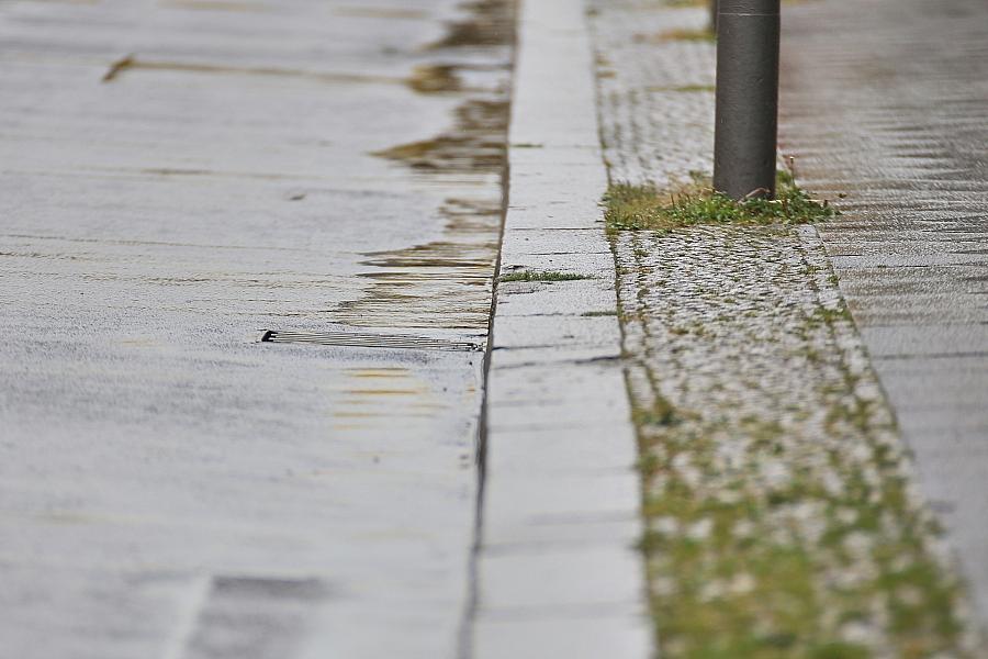 Wetterbericht für Sachsen-Anhalt (25.10.2026)